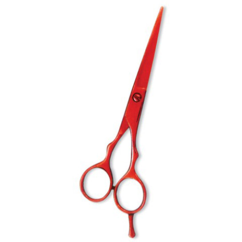 Professional Hair Cutting Scissor with razor edge. Color Coating.